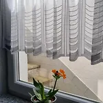 Elefanten Balingen