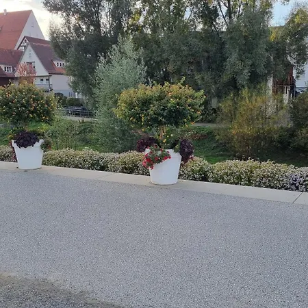 Elefanten * Balingen